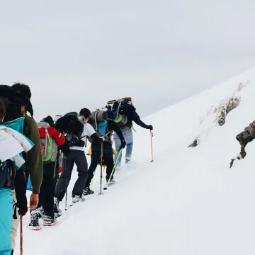 Ski resorts - 球探体育