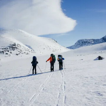 Ski resorts - 球探体育